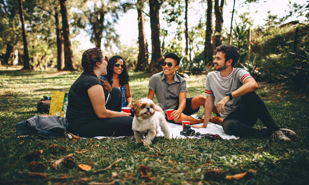 friends-picnic